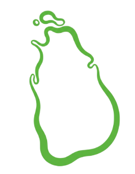 Sri Lanka Icon